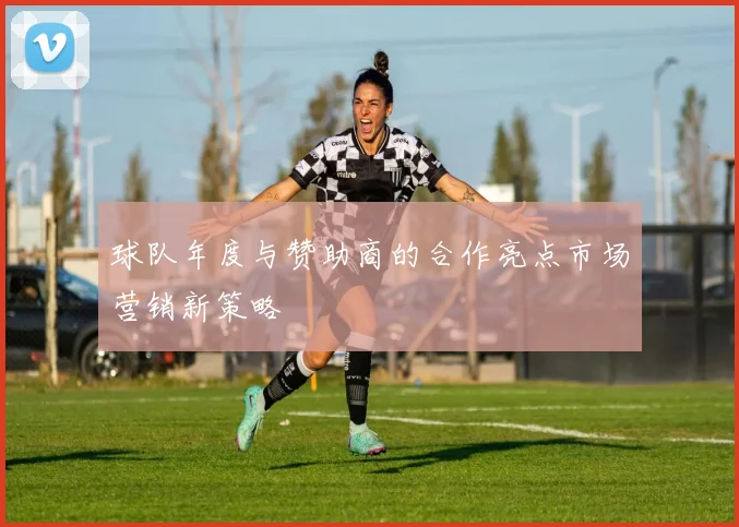 球队年度与赞助商的合作亮点市场营销新策略