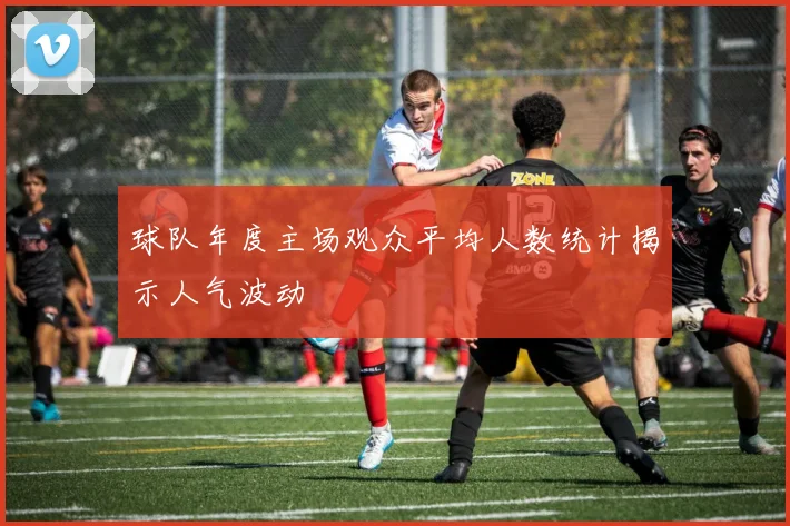 球队年度主场观众平均人数统计揭示人气波动
