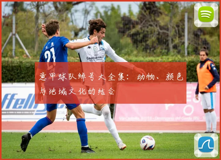 意甲球队绰号大全集：动物、颜色与地域文化的结合
