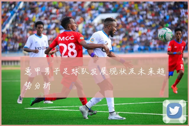 意甲男子足球队发展现状及未来趋势分析