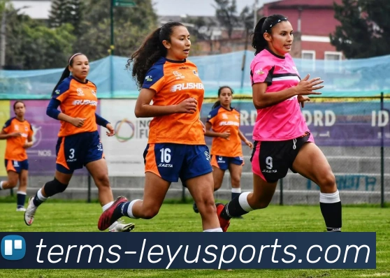 意甲男子足球队发展现状及未来趋势分析